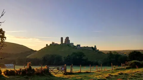 The ruins of Corfe Castle sit on top of a hill illuminated by a low sun, surrounded by green fields and seen in front of a fence and wooden gate