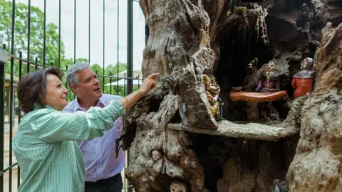The Royal Parks A man and a woman look at the figurines carved into the oak tree.