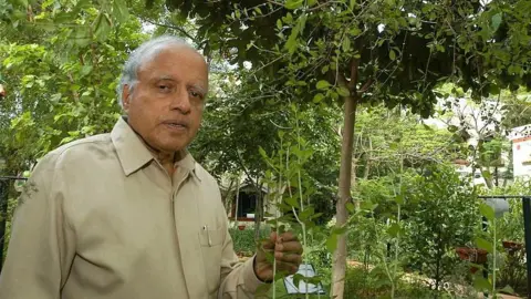 गेटी इमेजेज के माध्यम से इंडिया टुडे ग्रुप एमएस स्वामीनाथन, चेन्नई, तमिलनाडु, भारत में एमएस स्वामीनाथन रिसर्च फाउंडेशन के अध्यक्ष