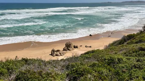 Beach scene at Knysna, also showing the dense greenery of the coast
