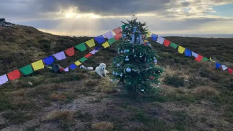 Peter Reed A Christmas tree stands on a remote hilltop with a setting sun behind it. It's decorated with flags on the ropes to anchor it. A golden retriever sits at its base.