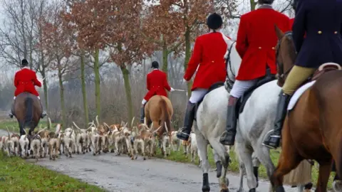 A stock image of a hunt showing dogs and people riding horses wearing red jackets