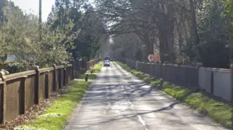 Cemetery Pales in Brookwood