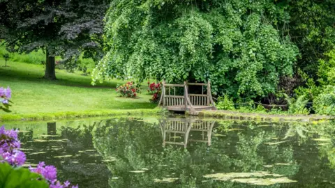 National Trust/Lindsey Bucknor A large garden with big trees and a pool in the foreground with a bridge and purple flowers on the left of the picture.