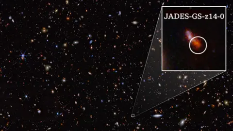 NASA/ESA/CSA/STScI/Brant Robertson et al JWST image of JADES-GS-z14-0