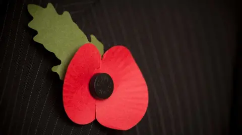 Getty A Poppy Appeal poppy on a suit jacket