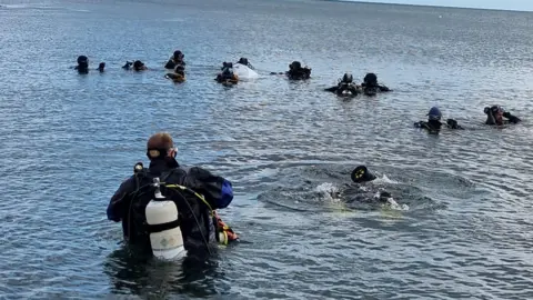 Divers getting in the water