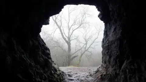 Getty Images Looking out of a cave entrance onto a misty winter's day in the Malvern Hills. Through the entrance, a tree with bare branches can be seen.