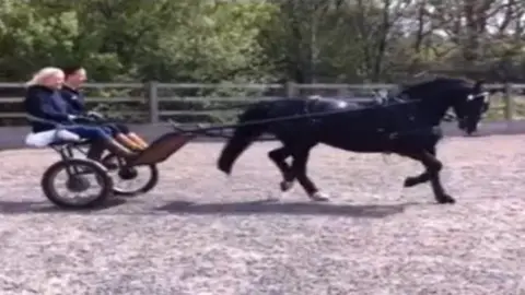 Family Angharad Rees training for the event in a trap pulled by a horse