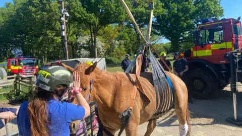 A brown horse is standing with a winch around his middle. He is with a woman wearing a helmet with the word "vet" on it, and there are firefighters and an engine in the background