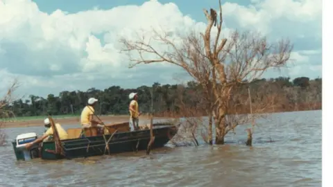 A man in a rowing boat approaches a bird in a tree, in the middle of a river.