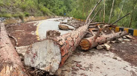 Road blocked by fallen trees and other debris outside Rawalakot