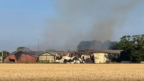 Luke Deal/BBC A series of red and white barns next to a field of wheat, all smouldering or on fire. The barn on the far right has collapsed. There are trees in the background and grey smoke pours upwards.