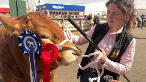 Girl with brown hair, pink shirt and black waistcoat, holding a brown cow that has a blue and red rosette on it