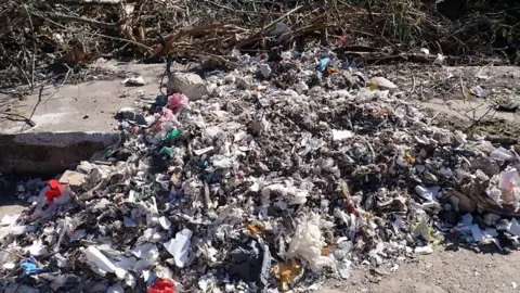 A pile of waste