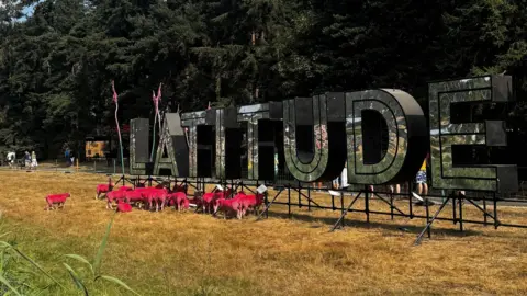 George King/BBC Pink sheep on a field in front of the Latitude sign