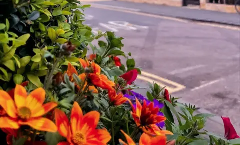 Vibrant blossoms in Oxford by BBC Weather Watcher avdc__