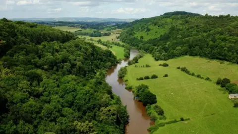 BBC An aerial shot of the River Wye winding its way through the countryside. The water is brown. One river bank is completely covered in trees, with a hill and fields in the background. On the other bank there are wide open fields, with sheep dotted around, before it rises into a tree-covered slope. 