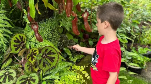 Dave Robinson A little boy looks in bushes featuring a number of different plants with green leaves. Arlo has short dark hair and wears a red t-shirt. 