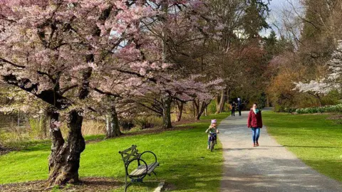 A cherry blossom tree in the foreground, with a child on a bike and woman walking towards the camera