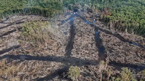 PA Media Birds-eye view of the damaged and burnt nature reserve. Some clouds of white smoke can be seen in the air.