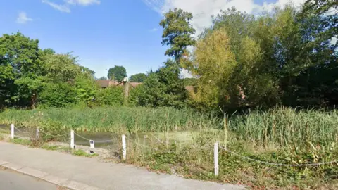 A roadside pond. It is overgrown with vegetation. 