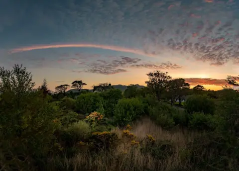 Jez Campbell The sun setting in a cloudy sky illuminating a garden 