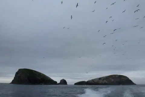 Chris Downer/Geograph A view towards to islands in the Flannan Isles. They appear above the surface of the sea like three dark lumps. Dozens of sea birds wheel overhead.
