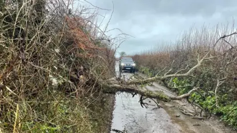 A381 Thurlestone on Sunday 26 January. A small tree is seen across a lane with a car stuck behind it.