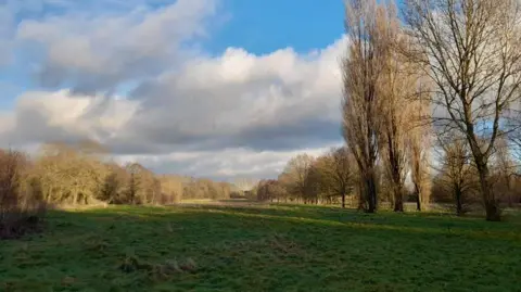 An expanse of grass dotted with trees