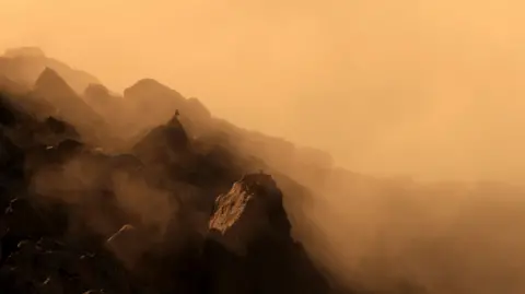 Lubin Godin Alpine ibex lying on a rocky mountain ridge above a blanket of golden cloud. The sky above is a dusty orange. 
