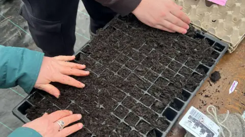 Jyan Dutton The hands of two people who are planting seeds. The seed box has small squares which are filled with soil. 