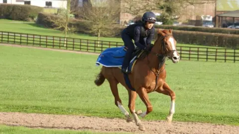 A woman riding a horse in the countryside. 