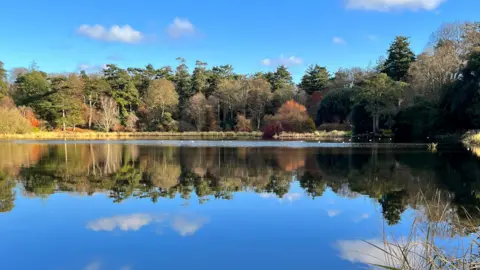 A picture of a large lake with lots of tall trees on the banks in the distance. Some of the leaves on the trees are turning orange, and some branches are bare. The water is still. There is a blue sky, with some small white clouds.