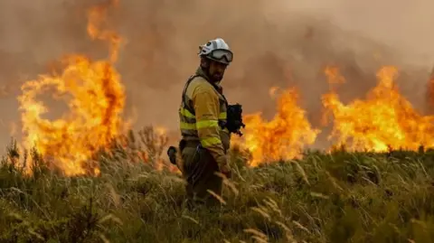 Getty Images A Spanish firefighter in a field looks back towards the camera. Ahead of him flames flash skywards.