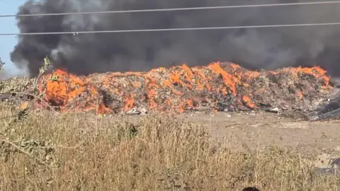 A heap of waste burning. Large plumes of smoke have darkened the air. Some withered grass is seen near the heap.