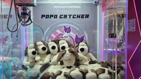 Ami Jang Gromit soft toys in a glass booth, ready to be picked up by the metal grabber. They are piled on top of one another.