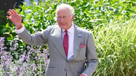 PA Media King Charles in a grey suit waves to onlookers in front of long grass and flowers