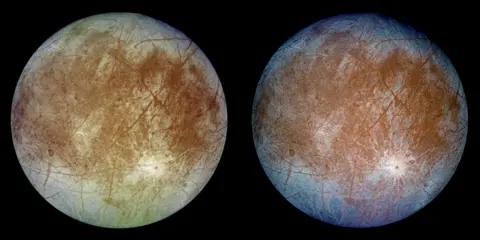 NASA/JPL/DLR This image shows two views of the trailing hemisphere of Jupiter's ice-covered satellite, Europa. The left image shows the approximate natural color appearance of Europa. The image on the right is a false-color composite version combining violet, green and infrared images to enhance color differences in the predominantly water-ice crust of Europa. Dark brown areas represent rocky material derived from the interior, implanted by impact, or from a combination of interior and exterior sources. Bright plains in the polar areas (top and bottom) are shown in tones of blue to distinguish possibly coarse-grained ice (dark blue) from fine-grained ice (light blue). Long, dark lines are fractures in the crust, some of which are more than 3,000 kilometers (1,850 miles) long. The bright feature containing a central dark spot in the lower third of the image is a young impact crater some 50 kilometers (31 miles) in diameter. This crater has been provisionally named 