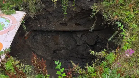 A large hole in the ground, a collapse mine shaft surrounded by plants