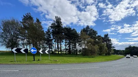 BBC A section of road, on a curve, with a few cars at the far end to the right. Beyond the curve is a section of lush grass and a scattering of trees, in front of which are three road signs - two with black and white arrows and one round, blue sign with a white arrow - all to show the the direction of travel. The sky is a deep blue with white curls of stratocumulus and stratus clouds. 
