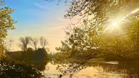 Space Walker The sun is peeking through a tree in a park next to a lake. The sky is blue and the picture is largely orange due to the sun. There are trees and hedges in the background.