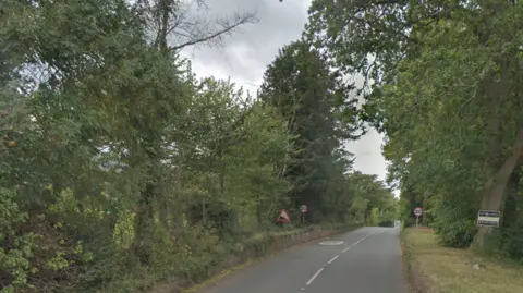 Google Maps Lane with trees on either side