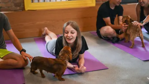 Getty Images A puppy yoga session