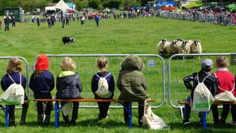 Children watch a sheepdog in action