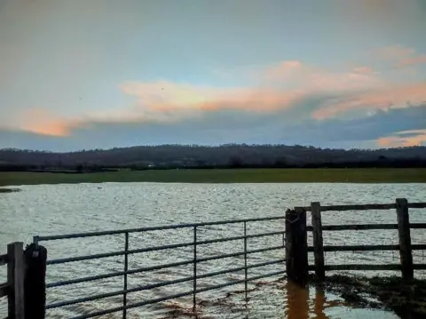 TonePoet A flooded field is pictured behind a gateway and fence. The bottom of the gate is covered by water, which has flooded a significant portion of the field. A hill and treeline can be seen in the background below a blue sky.