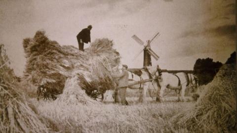 Stacking hay at Skidby in the early to mid 20th century