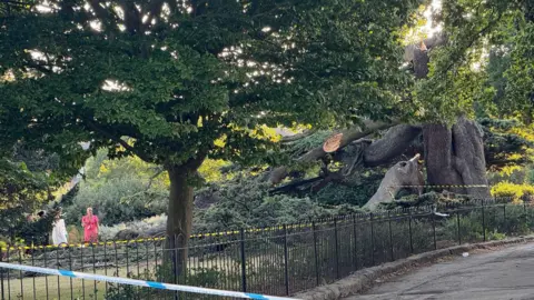 In the foreground is police tape across a promenade. Black railings fence off an area of park and you can see fallen branches of a huge tree, that looks like a variety of fir or cedar. Its trunk is dark and thick and at least two very large branches are spread out sideways. Two people are looking at it from the left side of the picture.