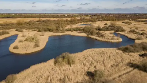 National Trust/Mike Selby An aerial view of Wicken Fen showing trees and grasslands and an expanse of water