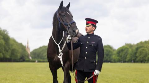 Soldier and horse in field